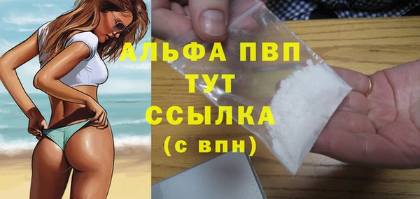 стаф Богородицк