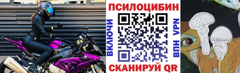 Псилоцибиновые грибы Cubensis  Кологрив 